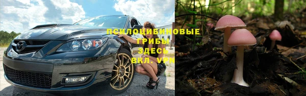 сатива Балабаново