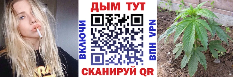 Канабис Bruce Banner Бежецк